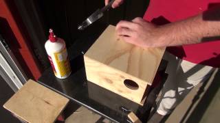 How To Build a Budgie Nest Box  BirdSpyAus [upl. by Caty]