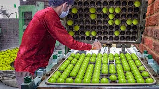 Amazing WayThey Produce Millions of Tennis Balls Every Year [upl. by Mccarty]