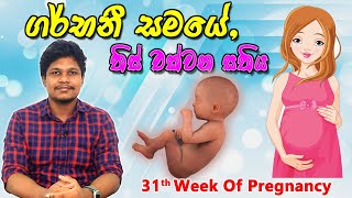 Pregnancy 31st Week  Sinhala Medical Review  අම්මයි බබයි [upl. by Pandolfi]