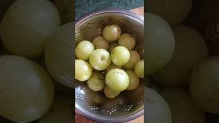 Amla pickel shortvideo viralvideo food healthyfood [upl. by Ahcila]