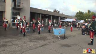 Pompiers Les Hussards d Altkirch Porte Ouverte Mulhouse 2010 [upl. by Ameg70]