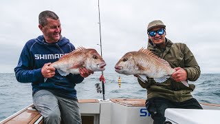 SHIMANO SS23 Slowjigging workups in the Hauraki Gulf [upl. by Tami]