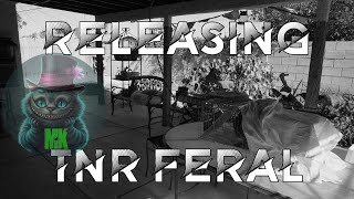 Releasing TNR Feral [upl. by Coh913]