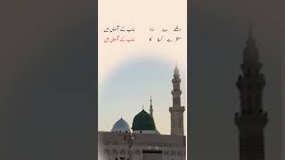 hussain dawoodibohras bohra marasi 🕌🩸💦Dekhe Madina Sara religion [upl. by Anyaled]