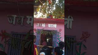 Mangal Ki Seva Sun Meri Deva 🌸 Aarti Kali Mata Ki 🌸 Lakhbir Singh Lakkha [upl. by Wheeler827]