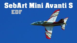 SebArt Mini Avanti S 90mm  EDF RC aircraft  4K  2022 [upl. by Clintock]