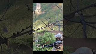 Archery saddle fall turkey hunt archery archeryhunting saddlehunting saddlehunter turkeyhunting [upl. by Collar]