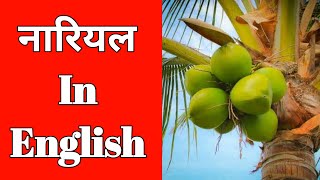 Nariyal In English  नारियल Ko English Me Kya Kahate Hain  Shabdkosh Dictionary [upl. by Carmelita]