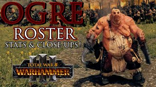 OGRE Kingdoms ROSTER  Stats amp Closeup  Warhammer 3 [upl. by Kind]