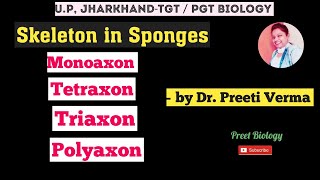 Skeleton in Sponges l Porifera l Non Chordate l PGT Biology exams l Phylum Zoology PreetBiology [upl. by Coumas]