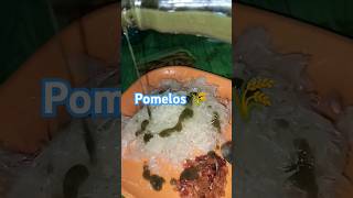 foodrecipes pomelos rice recipe [upl. by Tuinenga]