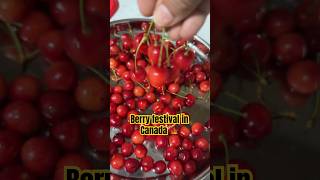 Berry festival in Canada 🇨🇦 viral family berryfarm canada ytshorts [upl. by Melisa]