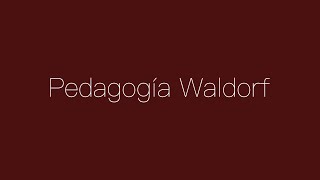 Pedagogía Waldorf ¿qué es y cómo funciona [upl. by Goodwin]