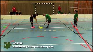 Innebandy för barn  Träning på grön nivå [upl. by Thorma]