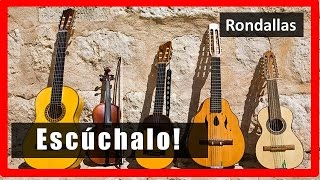 A Puro dolor  Rondalla Universo Romantico [upl. by Kessia]