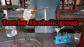 Test for alcoholic group Functional group class 12 chemistry practical file [upl. by Yenaled879]