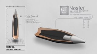 Combined Technology Ballistic Silvertip Bullet [upl. by Ellenehc]