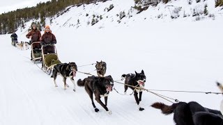 360 Degrees  Engholm Husky  6 Day Dog Sledding Round Trip  Karasjok Norway [upl. by Adelaja]