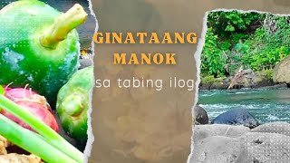 Ginataang Manok sa tabing ilog [upl. by Stanislaus]