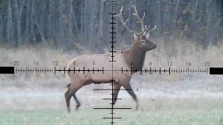 Bull Elk Hunt 65 PRC [upl. by Haim]