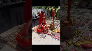 Vat Savitri puja [upl. by Atsirhcal851]