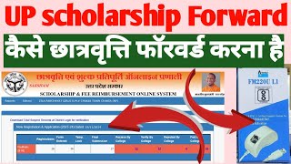 up scholarship forward kaise kre  up scholarship forward by institute 202425  upscholarship [upl. by Erreid]