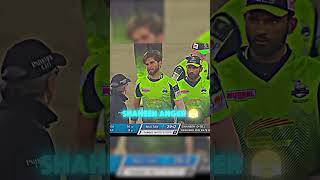 Rizwan Setup 🥵 cricket sajidkhan revenge shorts [upl. by Drue]