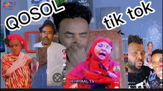 Reaction Waliya Tik Tok Guri Barwaaqo Qosolkii Aduunka [upl. by Gladine]