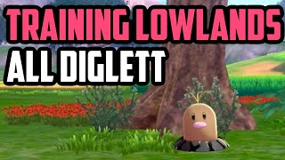 ALL Diglett Locations  Training Lowlands Sword amp Shield DLC [upl. by Tlok428]