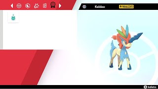 Pokémon Sword Shield  Bot Auto Hunt Keldeo  Rare Mark [upl. by Jardena973]