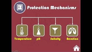 Biotechnology 5  علم التقنية الحيوية الجزء الخامس Protection mechanisms for Microorganisms [upl. by Linet]