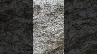 Types Of ROCK  ROCK SOLID [upl. by Amahs]