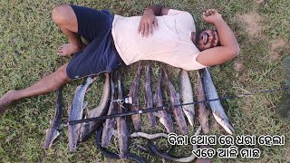 Ali machha dhariba kemtisinghara fish fishing video fishingvideo [upl. by Treboh]