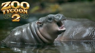 Zoo Tycoon 2 Pygmy Hippopotamus Exhibit Speed Build [upl. by Drarej]