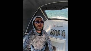 Levrek av sonu Seabass fishing lrf teknebalıkçılığı fish balikavi levrekavi bassfishing [upl. by Leo]