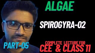 ALGAE05  SPIROGYRA 02  CEE  CLASS 11 NEB BIOLOGY  NEPAL  ENTRANCE  SUNIL ADHIKARI [upl. by Wing]