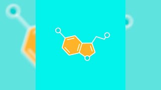 Nic D  Serotonin [upl. by Zacharie]