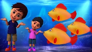 Machli Jal Ki Rani Hai  Hindi Rhymes  मछली जल की रानी है  Kids Tv India  Hindi Nursery Rhymes [upl. by Otrevlig]