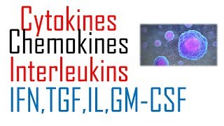 Chemokines and cytokines immunology [upl. by Pahl]