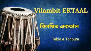 Vilambit Ektaal Tabla  Taalmala [upl. by Vernice500]