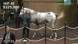 Pretty Birdie sells for 11 million at 2024 Keeneland November [upl. by Olivann894]