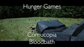 Hunger Games  Cornucopia Bloodbath [upl. by Anirbys]