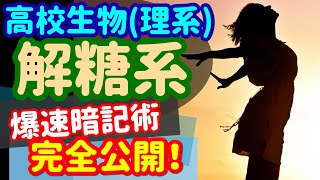 【高校生物 7】代謝【呼吸解糖系】を宇宙一わかりやすく [upl. by Ellenoj]