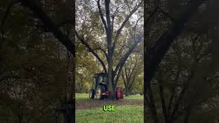 Can Machines Harvest Fruit Faster Than Humansshortsfeed shortsviral shortsyoutube [upl. by Harding]