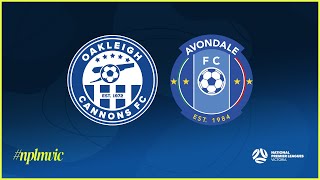 2024 NPLMVIC Oakleigh Cannons FC v Avondale FC [upl. by Ober909]