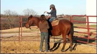 Bea Jae Hickory  BJ  beginner lesson  mounting walking  Valley View Ranch [upl. by Aivil778]