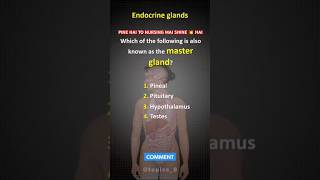 Human glands  body parts  endocrine amp exocrine glands  pancreas humanbody glands hormones [upl. by Marcell]