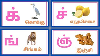 மெய் எழுத்துக்கள்  mei yeluthukkal  Letters kids with fun learning [upl. by Fonzie]