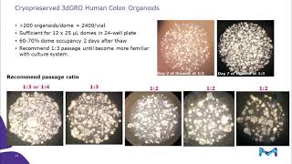 iPSC and patient derived intestinal organoids for gastrointestinal research [upl. by Haneehs]