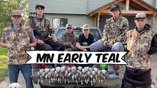 Minnesota Early Teal Season 6 Man Limit [upl. by Yeslaehc4]